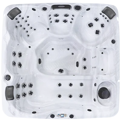 Avalon EC-867L hot tubs for sale in Doral